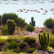 Illustration for article titled These beautiful natural landscapes are actually aquariums